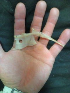 20100324185752.jpg