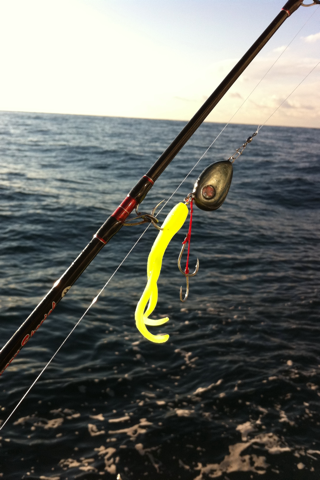 iphone/image-20101209083035.png