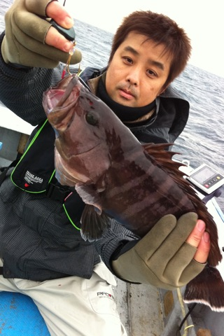 image-20101220125511.png