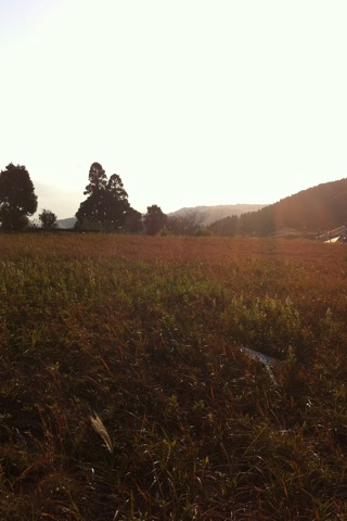 image-20101222153438.png