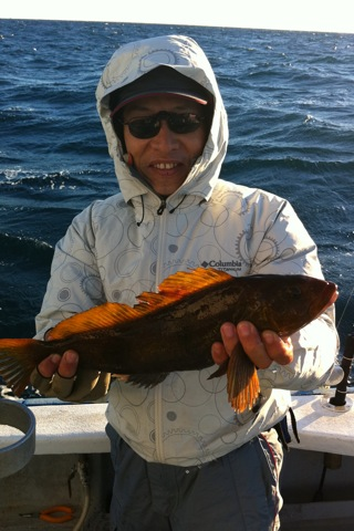 image-20101223075415.png