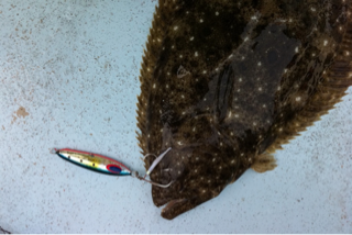 image-20101230084957.png