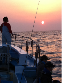 image-20110430162152.png