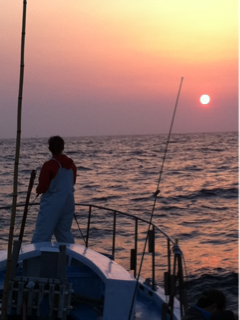 image-20110430162213.png